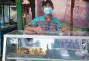UKM WARUNG SOTO DAN GORENGAN PAK NO Salatiga